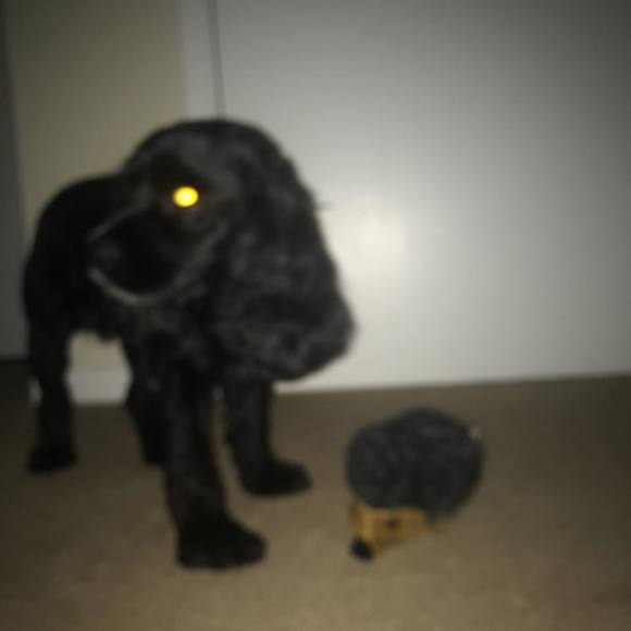 Meet your Posher, David - Picture 1 of 1